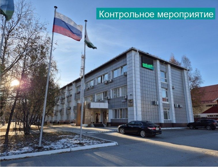 Информация о проведении контрольного мероприятия «Проверка законности, результативности (эффективности) расходования бюджетных средств, направленных на реализацию муниципальной программы «Профилактика правонарушений в сфере общественного порядка...» Информация о проведении контрольного мероприятия «Проверка законности, результативности (эффективности) расходования бюджетных средств, направленных на реализацию муниципальной программы «Профилактика правонарушений в сфере общественного порядка...»